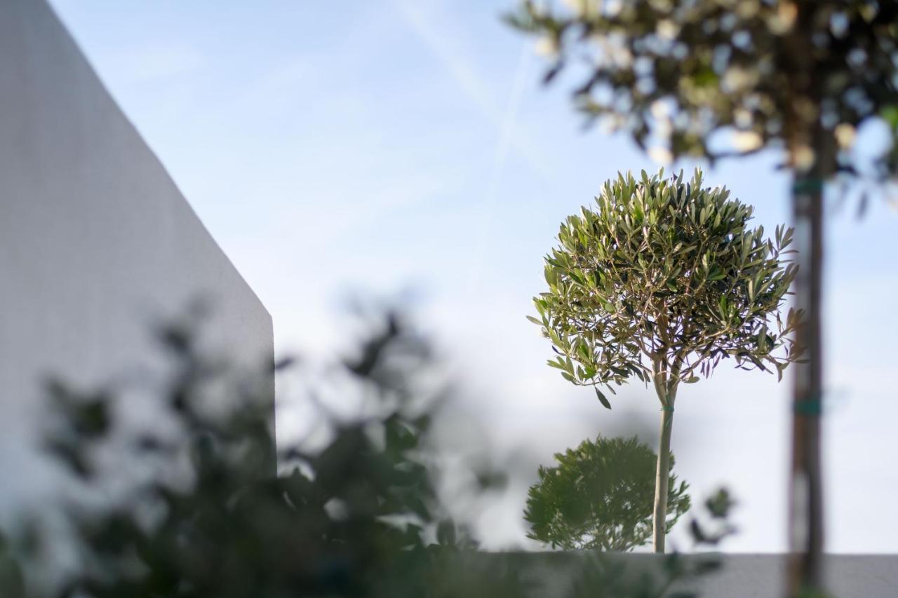 Akrotírion Potnia Theron Suites المظهر الخارجي الصورة